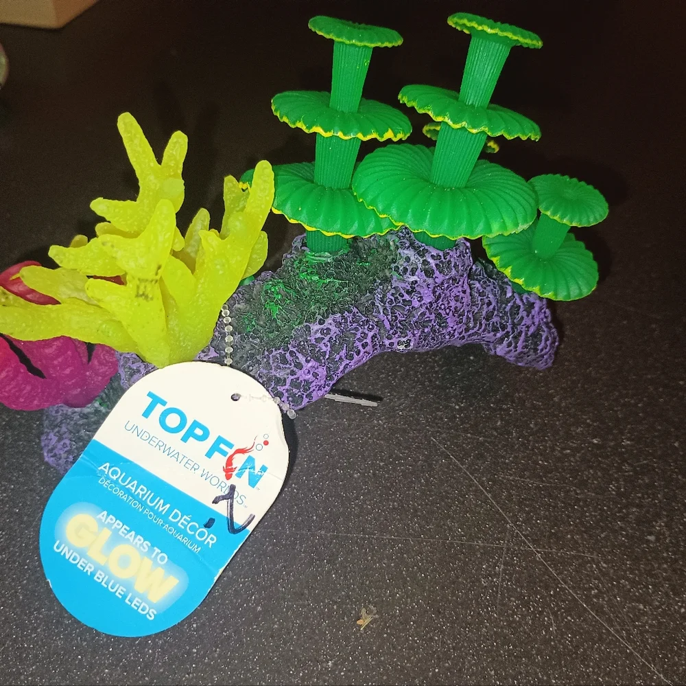 Aquarium accessories